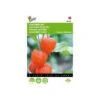 Physalis Alkekengi (oranje Lampionnetjes) 2 Physalis Alkekengi (oranje Lampionnetjes) -Compo winkel physalis alkekengi oranje lampionnetjes 1646840337 557 600