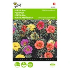 Portulaca Grandiflora (dubbelbloemig Gemengd)