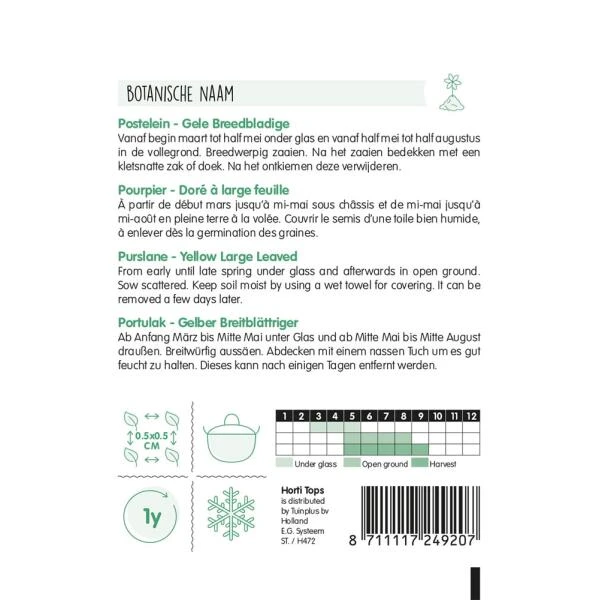 Postelein Gele Breedbladige - Portulaca Oleracea 4 Postelein Gele Breedbladige - Portulaca Oleracea - Afbeelding 2