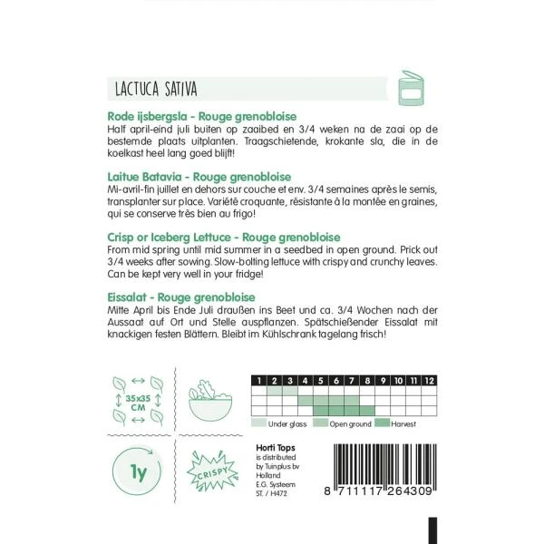 Rode Ijsbergsla, Rouge Grenobloise - Lactuca Sativa 4 Rode Ijsbergsla, Rouge Grenobloise - Lactuca Sativa - Afbeelding 2