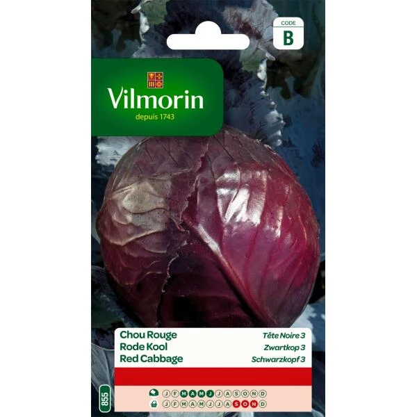 Rode Kool Zwartkop 3 3 Rode Kool Zwartkop 3