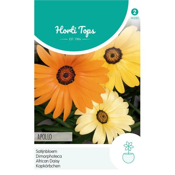 Satijnbloem Apollo - Dimorphoteca Sinnata 3 Satijnbloem Apollo - Dimorphoteca Sinnata