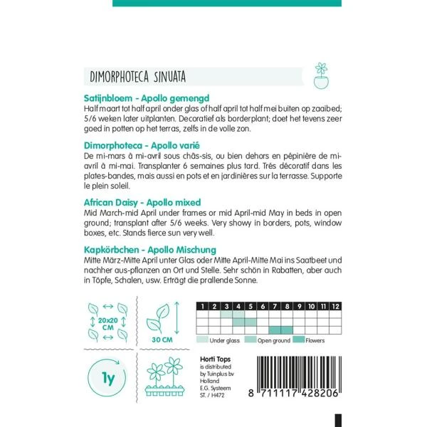 Satijnbloem Apollo - Dimorphoteca Sinnata 4 Satijnbloem Apollo - Dimorphoteca Sinnata - Afbeelding 2