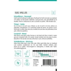 Scheefbloem Mix - Iberis Umbellata -Compo winkel scheefbloem mix iberis umbellata 1646840362 1099 600