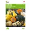 Sierpompoen - Cucurbita Pepo 2 Sierpompoen - Cucurbita Pepo -Compo winkel sierpompoen cucurbita pepo 1646840326 339 600