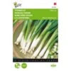 Stengelui Ishikura - Allium Fistulosum -Compo winkel stengelui ishikura allium fistulosum 1646840322 255 600