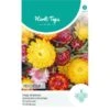 Strobloem Mix - Helichrisum Bracteatum 1 Strobloem Mix - Helichrisum Bracteatum -Compo winkel strobloem mix helichrisum bracteatum 1646840362 1092 600