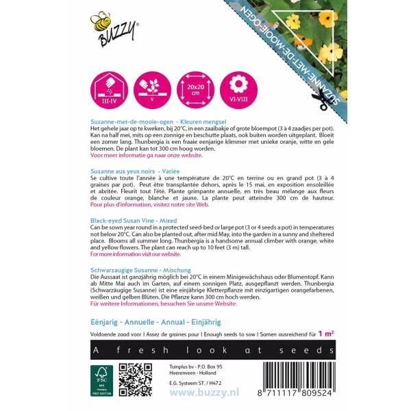 Suzanne Met De Mooie Ogen - Thunbergia Alata (klimmer) 4 Suzanne Met De Mooie Ogen - Thunbergia Alata (klimmer) - Afbeelding 2