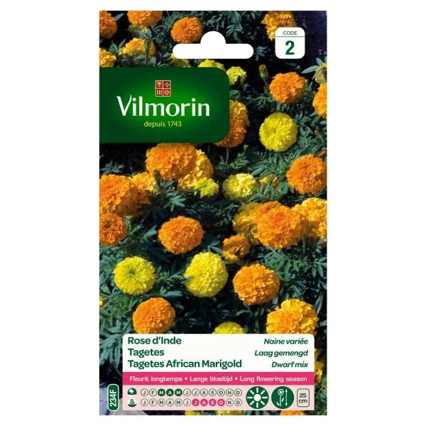 Tagetes Dwerg Gemengd 3 Tagetes Dwerg Gemengd