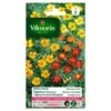 Tagetes Miniature Gemengd - Tagetes Patula -Compo winkel tagetes miniature gemengd tagetes patula 1646839524 96 600
