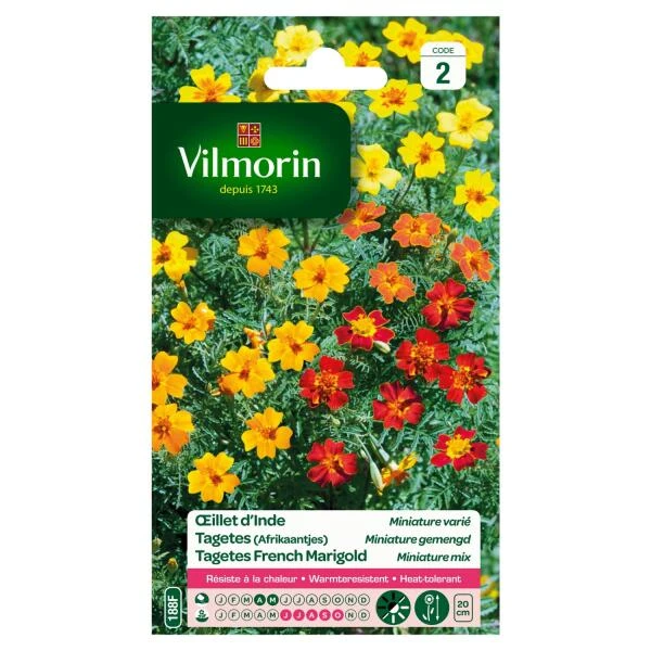 Tagetes Miniature Gemengd - Tagetes Patula