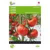 Tomaten St. Pierre - Lycopersicon Esculentum -Compo winkel tomaten st pierre lycopersicon esculentum 1646840322 245 600