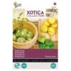 Tomatillo - Aardkers (Exoot) Physalis Ixocarpa 1 Tomatillo - Aardkers (Exoot) Physalis Ixocarpa -Compo winkel tomatillo aardkers exoot physalis ixocarpa 1646840337 565 600