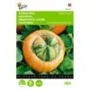 Turkse Muts - Cucurbita Maxima Turbaniformis 1 Turkse Muts - Cucurbita Maxima Turbaniformis -Compo winkel turkse muts cucurbita maxima turbaniformis 1646840326 341 600