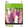 Valse Ridderspoor - Delphinium Ajacis 2 Valse Ridderspoor - Delphinium Ajacis -Compo winkel valse ridderspoor delphinium ajacis 1646840326 343 600