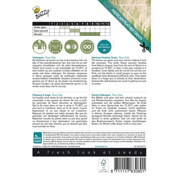 Vedergras Pony Tails - Stipa Tenuissima 4 Vedergras Pony Tails - Stipa Tenuissima - Afbeelding 2