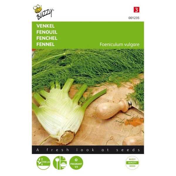 Venkel De Florence - Foeniculum Vulgare 2 Venkel De Florence - Foeniculum Vulgare