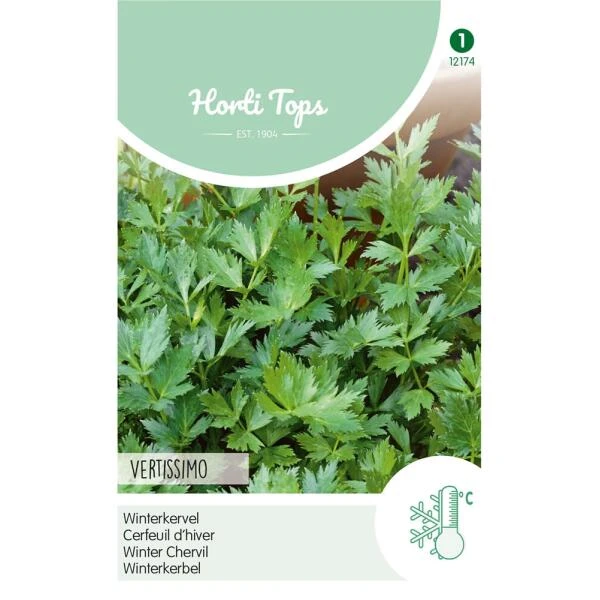 Winterkervel Vertissimo - Anthriscus Cerefolium 3 Winterkervel Vertissimo - Anthriscus Cerefolium