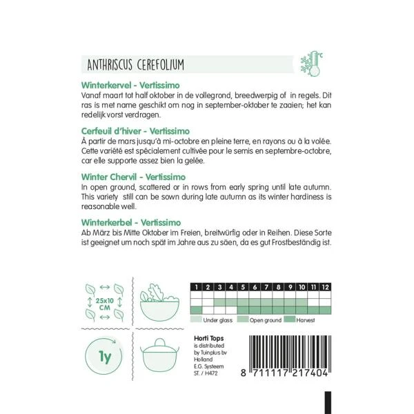 Winterkervel Vertissimo - Anthriscus Cerefolium 4 Winterkervel Vertissimo - Anthriscus Cerefolium - Afbeelding 2