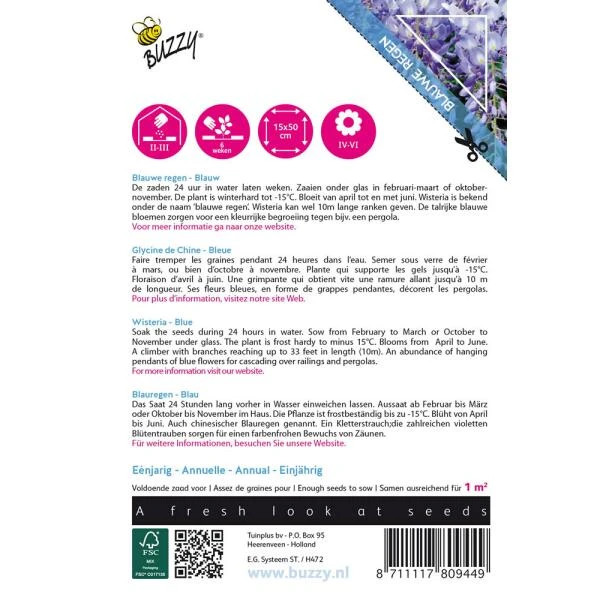 Wisteria Blauw (Klimmer) 4 Wisteria Blauw (Klimmer) - Afbeelding 2