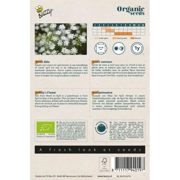 Witte Dille - Ammi Majus BIO 4 Witte Dille - Ammi Majus BIO - Afbeelding 2