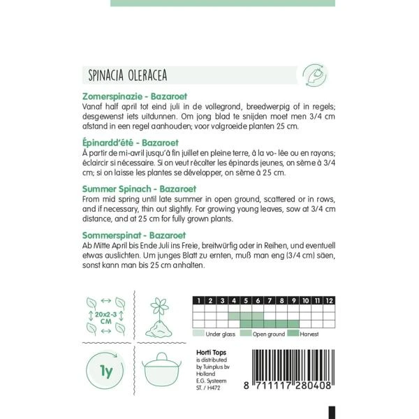 Zomerspinazie Bazaroet 4 Zomerspinazie Bazaroet - Afbeelding 2