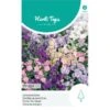 Zomerviolier Gemengd - Matthiola Incana 1 Zomerviolier Gemengd - Matthiola Incana -Compo winkel zomerviolier gemengd matthiola incana 1646840363 1122 600