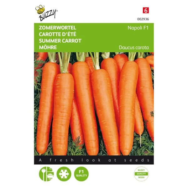 Zomerwortel Napoli F1 - Daucus Carota 3 Zomerwortel Napoli F1 - Daucus Carota