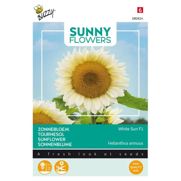 Zonnebloem White Sun F1 3 Zonnebloem White Sun F1