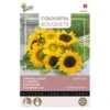 Zonnebloemen Sunlit Days 1 Zonnebloemen Sunlit Days -Compo winkel zonnebloemen sunlit days 1646840390 1642 600