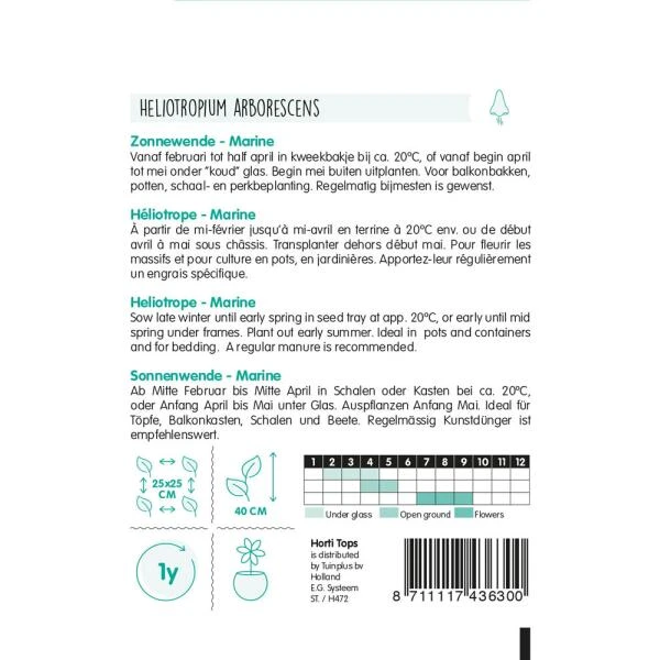 Zonnewende Marine - Heliotropium Peruvianum 4 Zonnewende Marine - Heliotropium Peruvianum - Afbeelding 2