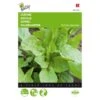 Zuring - Rumex Acetosa 2 Zuring - Rumex Acetosa -Compo winkel zuring rumex acetosa 1646840314 67 600