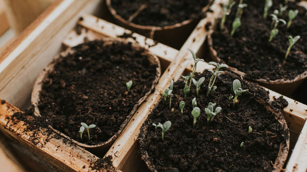 Compo winkel -Compo winkel M4RsVdgWxYBGXkDWCUpGvX 1200 80