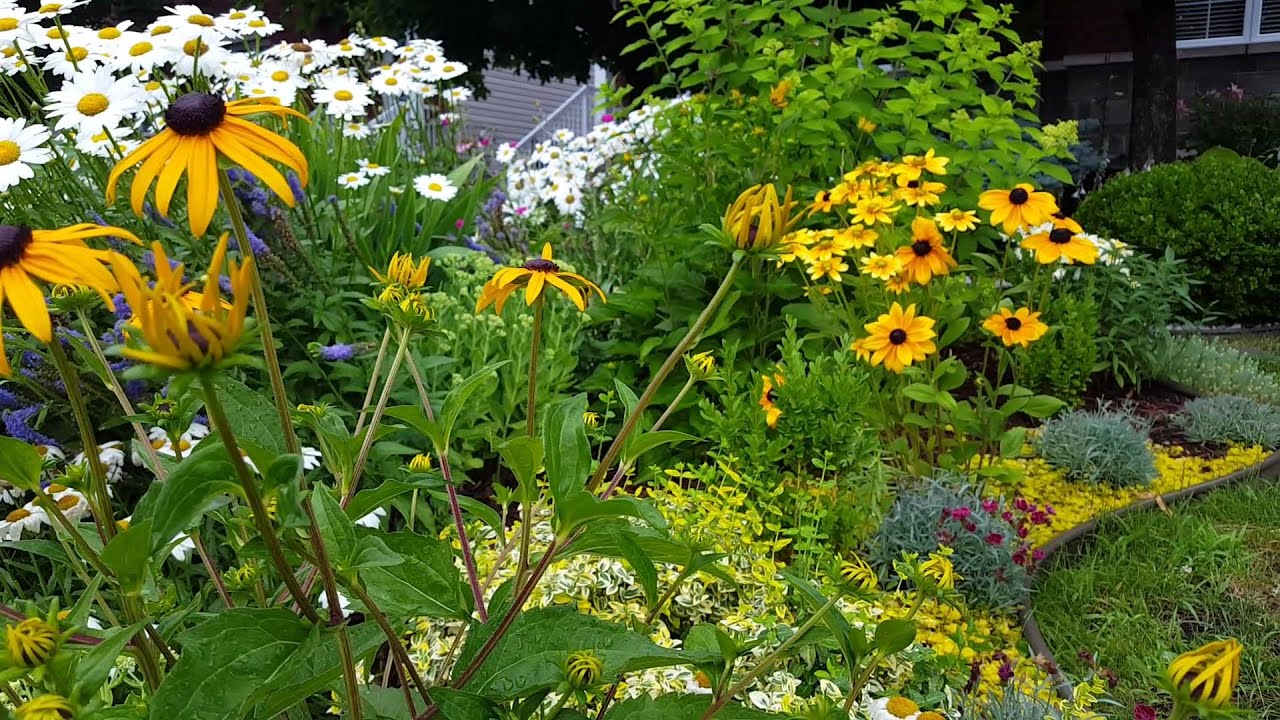 Compo winkel -Compo winkel